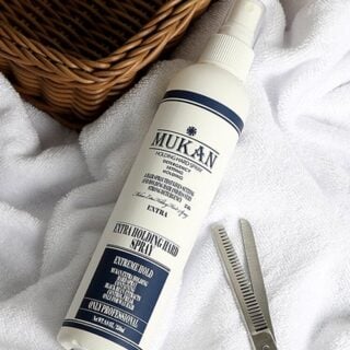 Extra Holding Hard Spray 250mL
